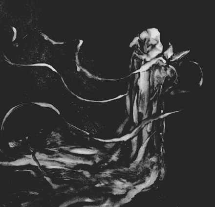 No graphic browser. I understand, brother.